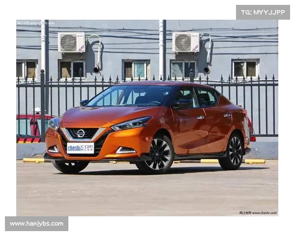 全新蓝鸟来了！小心车市“禽流感”！